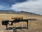 Detroit Gun Works - Sherwood .308 SBR Package
